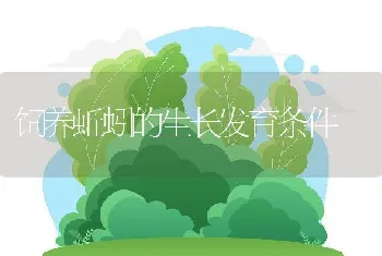 饲养蚯蚓的生长发育条件