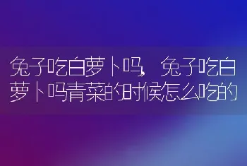 兔子吃白萝卜吗，兔子吃白萝卜吗青菜的时候怎么吃的