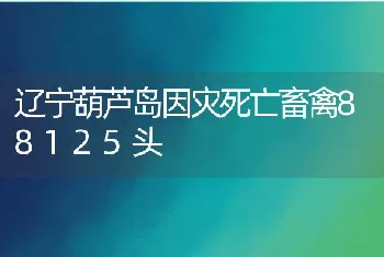 辽宁葫芦岛因灾死亡畜禽88125头