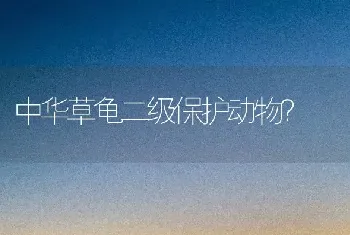 中华草龟二级保护动物？