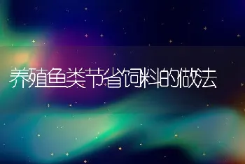 养殖鱼类节省饲料的做法