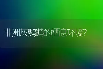 非洲灰鹦鹉的栖息环境？