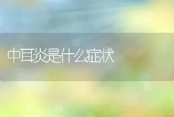 中耳炎是什么症状