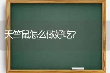 天竺鼠怎么做好吃？