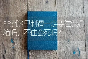 非洲迷里刺猬一定要住保温箱吗，不住会死吗？