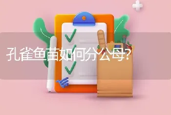 孔雀鱼苗如何分公母？