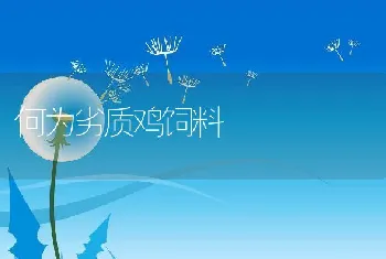 小鹅育雏技术要点