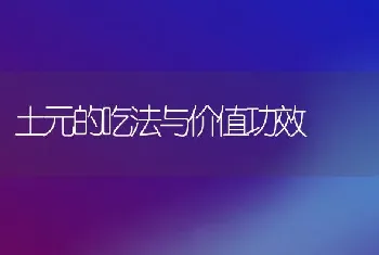 土元的吃法与价值功效