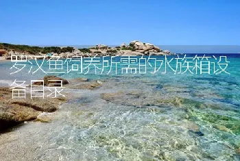 罗汉鱼饲养所需的水族箱设备目录