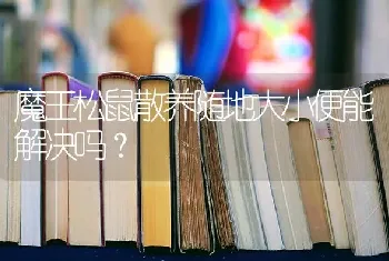 红面蛋龟可以混养吗红面蛋龟适合和什么龟一起养？