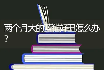 坎高犬为什么这么便宜？