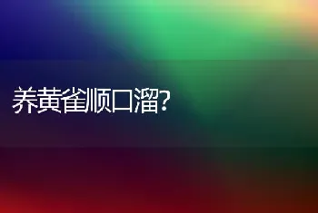 养黄雀顺口溜？