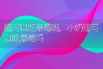 尿液发黄是什么原因，尿液发黄是什么原因女性