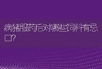 病猪服药后对哪些饲料有忌口？