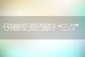 仔猪断奶要把握好三点