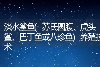 淡水鲨鱼(苏氏圆腹、虎头鲨、巴丁鱼或八珍鱼)养殖技术