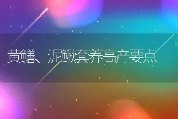 黄鳝、泥鳅套养高产要点