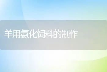 羊用氨化饲料的制作