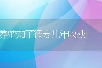 养殖知了猴要几年收获