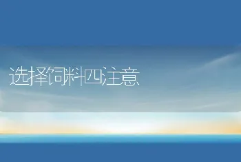 选择饲料四注意