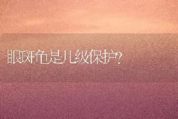 眼斑龟是几级保护？