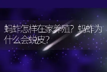 蚂蚱怎样在家养殖？蚂蚱为什么会蜕皮？