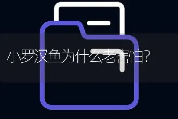 小罗汉鱼为什么老害怕？