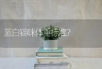 蓝白猫咪体重标准？