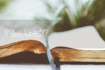 边牧的优缺点？