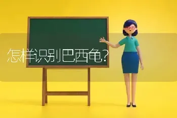 怎样识别巴西龟？