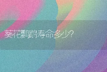 葵花鹦鹉寿命多少？