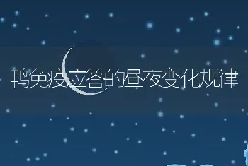 鸭免疫应答的昼夜变化规律