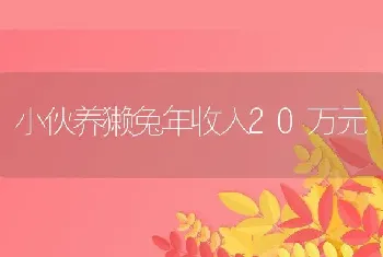 小伙养獭兔年收入20万元