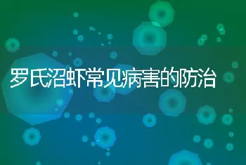 罗氏沼虾常见病害的防治