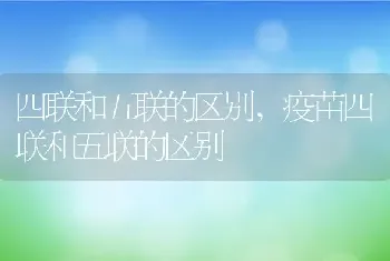 四联和五联的区别，疫苗四联和五联的区别