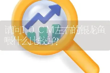 请问10CM左右的银龙鱼喂什么比较好？