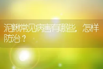 泥鳅常见病害有哪些，怎样防治？