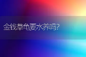 金钱草龟要水养吗？