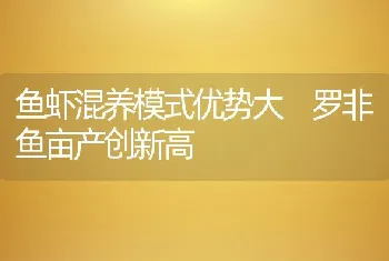 鱼虾混养模式优势大罗非鱼亩产创新高