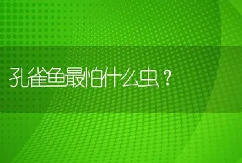 孔雀鱼最怕什么虫？