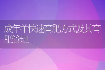 成年羊快速育肥方式及其育肥管理