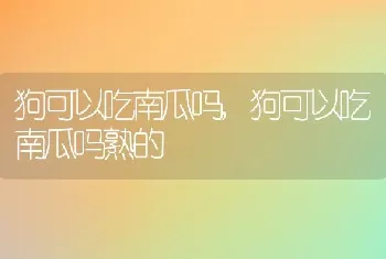 狗可以吃南瓜吗，狗可以吃南瓜吗熟的