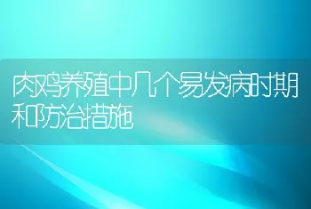 肉鸡养殖中几个易发病时期和防治措施