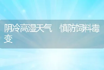 阴冷高湿天气慎防饲料霉变