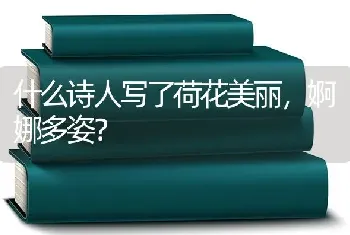 狗狗吃多了呕吐，精神不太好，有什么办法解决吗？