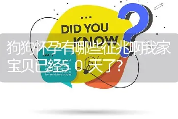 狗狗怀孕有哪些征兆啊我家宝贝已经50天了？