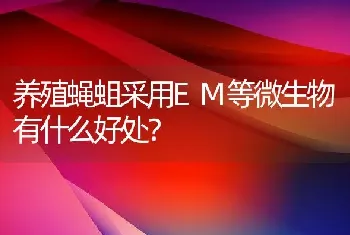 养殖蝇蛆采用EM等微生物有什么好处？