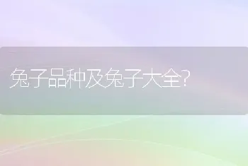 兔子品种及兔子大全？