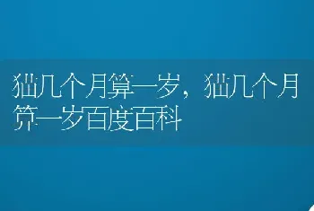 猫几个月算一岁，猫几个月算一岁百度百科