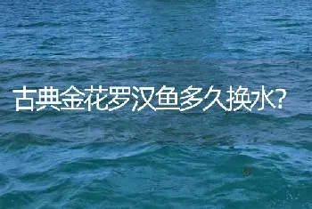 古典金花罗汉鱼多久换水？